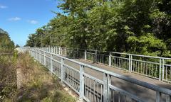 The beginning of the trail