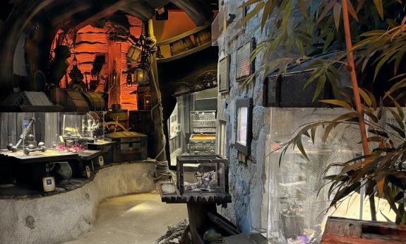 A path through the island exhibit of the Pirate and Treasure Museum