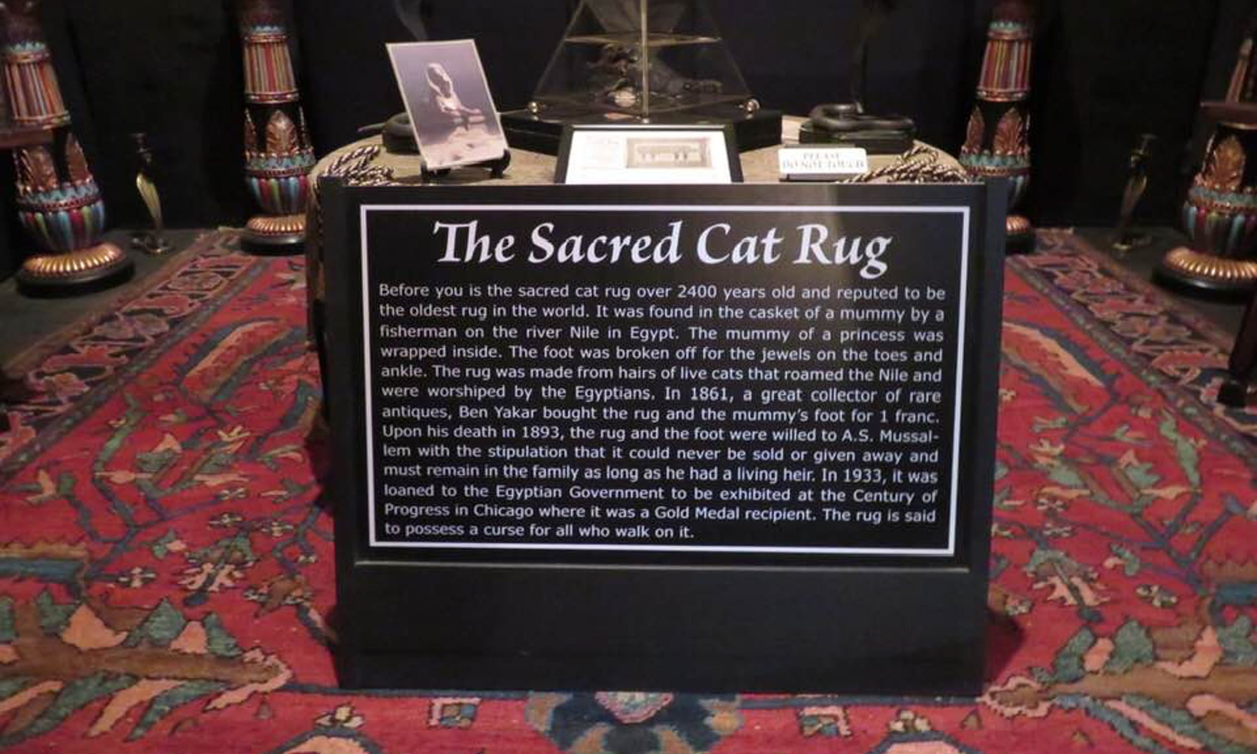 The sacred cat rug display and plaque at Villa Zorayda Museum