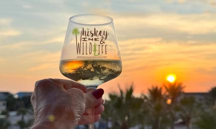 A woman's hand, holding a glass of wine up to the sunset