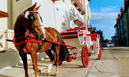 Old City Carriage Rides —Historic Downtown